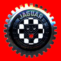 jaguar_02.jpg (22161 byte)